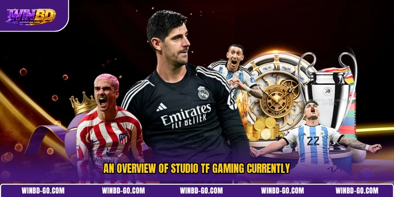 An Overview of studio TF Gaming currently