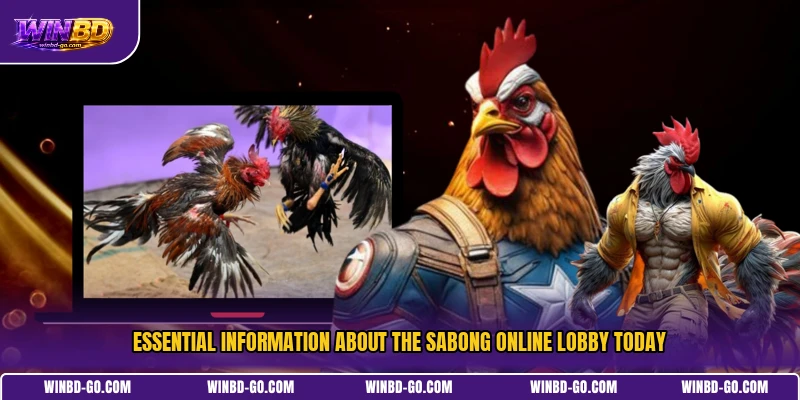 Essential information about the Sabong Online lobby today