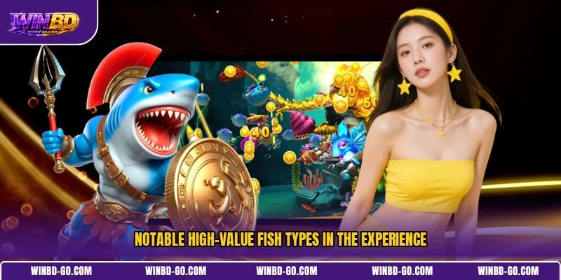 Notable high-value fish types in the experience