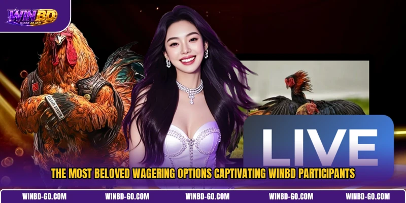 The most beloved wagering options captivating WINBD participants
